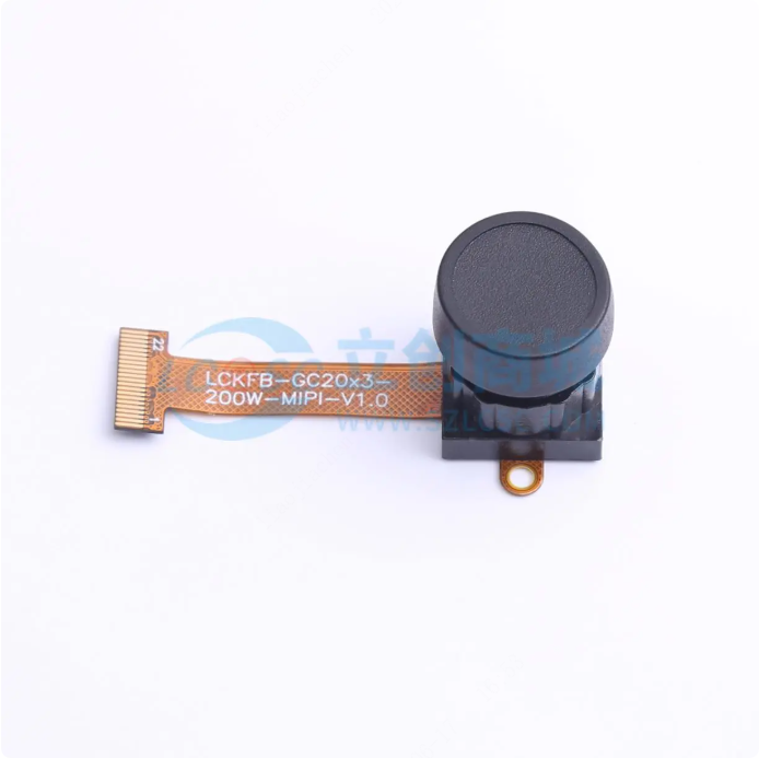 立创开发板的LCKFB-GC2093-200W-MIPI-V1.0-B系统框图