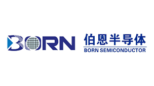 BORN(伯恩半导体)