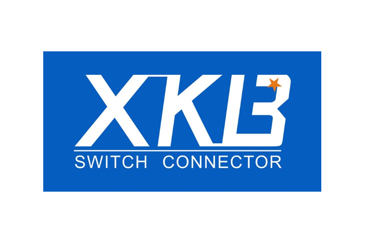 【XKB星坤】領銜！3家供應商共賀立創商城成立8周年！