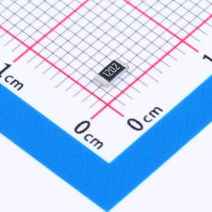 RT1206BRD0712KL商品缩略图