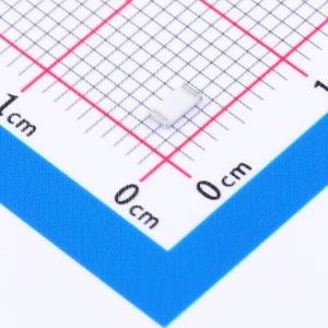 RT1206BRD0718KL商品缩略图