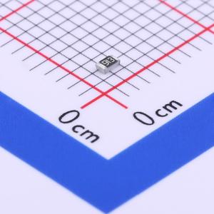 0603WAJ0913T5E商品缩略图