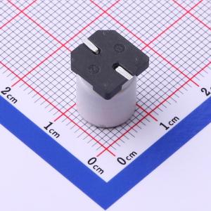 RVT2G100M1012商品缩略图