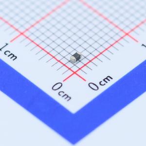 SDV1608S5R5C010YPTF商品缩略图
