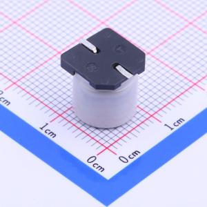 RVT2A470M1010VG商品缩略图