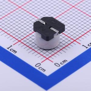 RVT1C101M0605商品缩略图