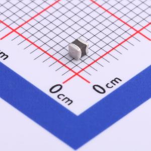 LB2016T100K商品缩略图