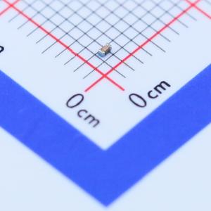 SDWL1005C15NJSTF商品缩略图