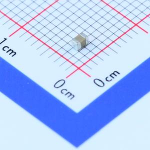 CL21F106ZQFNNNE商品缩略图