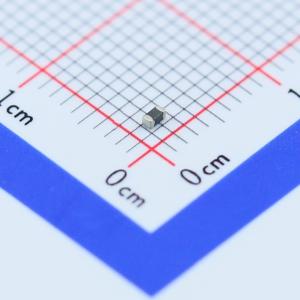 SDV1608S5R5C010YPTF商品缩略图