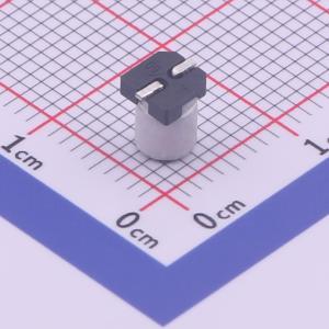 RVT2A1R0M0405商品缩略图