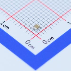 CC0805KRX7R9BB391商品缩略图