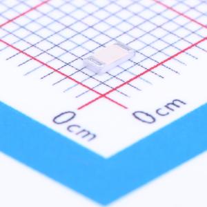 RTT06R130FTP商品缩略图