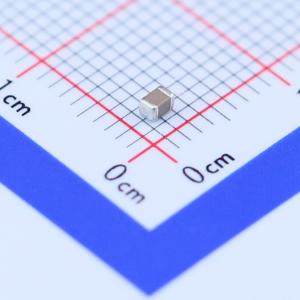 1uF ±10% 100V