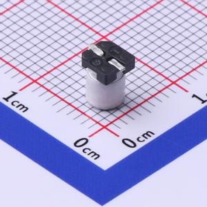 RVE1E100M0405商品缩略图