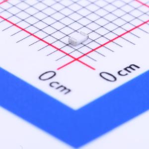 WR06X1003FTL商品缩略图