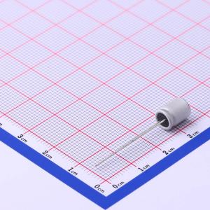 BC010M221LO6.3*8L-1A4T商品缩略图