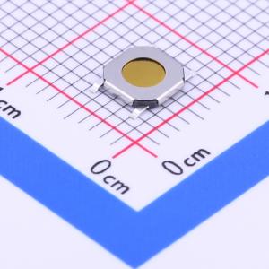 PTS525SM08SMTR2LFS商品缩略图