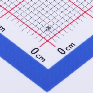 BSMD0402L-050商品缩略图