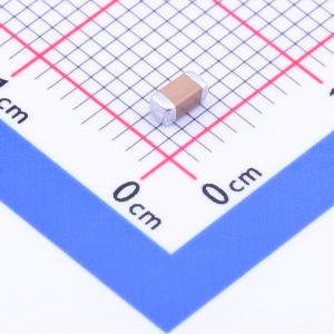 NL1206B563K500CEGN商品缩略图