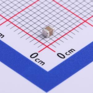 FS21B105K500EIG商品缩略图