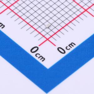 RT0402BRD073K09L商品缩略图