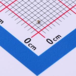 CC0402KRX5R6BB333商品缩略图