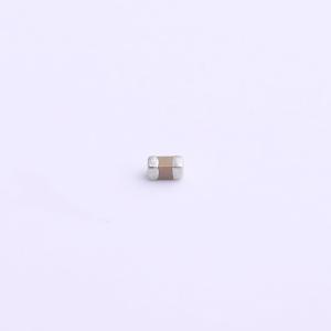 FS18X105K250PBG商品缩略图