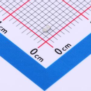 RL06FTNR100商品缩略图