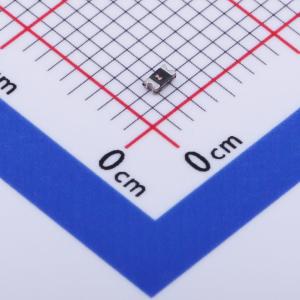 BSMD0603-003-30V商品缩略图