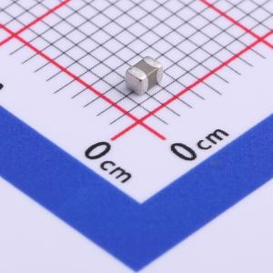 FS21B105K100ECG商品缩略图