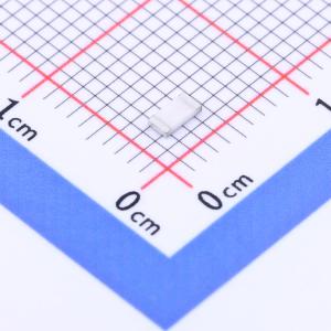 RAS12JTN100商品缩略图