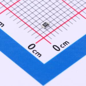 RT0603BRE071K13L商品缩略图