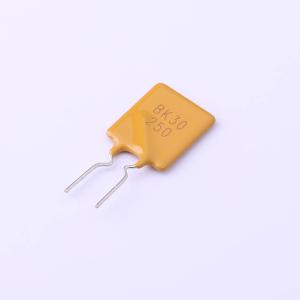 BK30-250-SI-E0.6商品缩略图