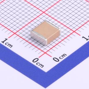 FS55X335K101EFG商品缩略图