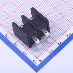 DBT30R-9.5-2P-BK-P商品缩略图