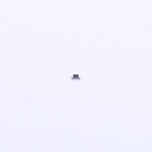 RB04BTP1001商品缩略图