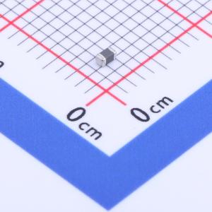 EBLS1608-100K商品缩略图