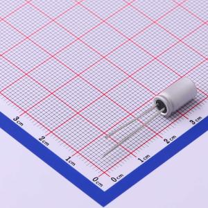 SPT1VM470E12OR商品缩略图