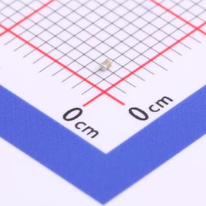 AC0402KRX7R8BB822商品缩略图