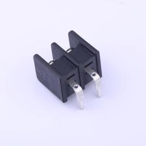 DBT30R-9.5-2P-BK-P商品缩略图