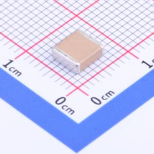 FV55X222K202EFG商品缩略图