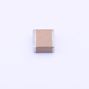 FV56X333K202EGG商品缩略图