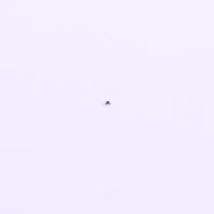 RC0100FR-0724K9L商品缩略图