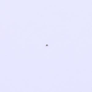 RC0100FR-071K5L商品缩略图