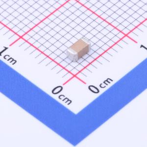 FV31X332K202EEG商品缩略图