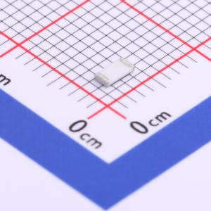 RL1206JR-070R04L商品缩略图