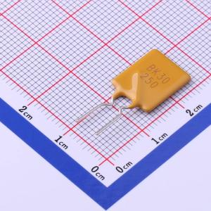 BK30-250-SI-E0.6商品缩略图