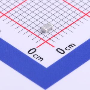 FN21N102J500PXG商品缩略图