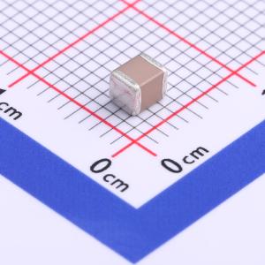 FS32X335K101EGG商品缩略图